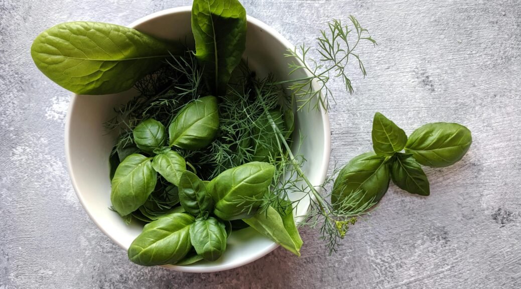 Basil: The Winter Herb That Warms the Heart